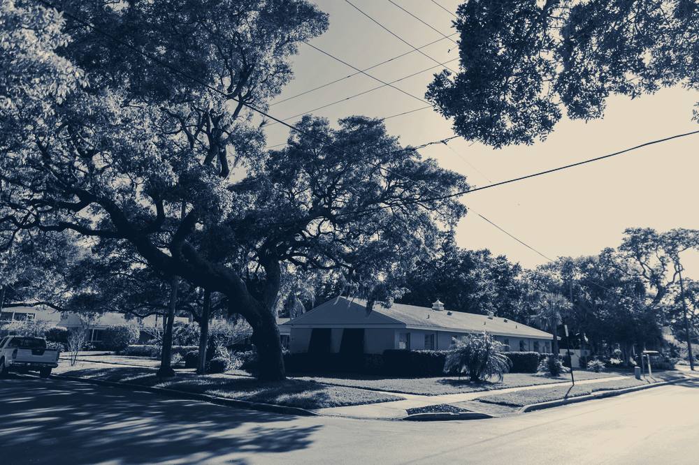 A house under mature trees, Dunedin, Florida