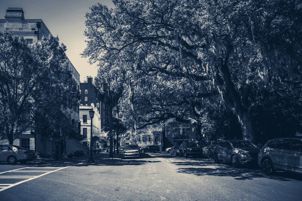 A street with trees and parked cars, Savannah, Georgia